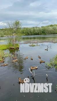 Дом 100м², 2-этажный, посуточно,