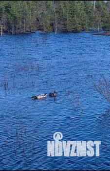 Дом 200м², 2-этажный, посуточно,