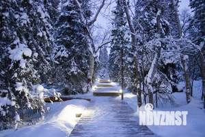 Дом 28м², 1-этажный, посуточно, 