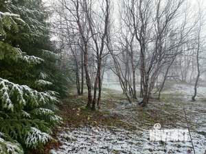 Дом 25м&sup2;, 2-этажный, участок 17 сот.  