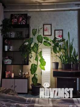 1-к квартира, посуточно, 33м2, 5/5 этаж