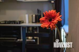 1-к квартира, посуточно, 31м2, 1/1 этаж