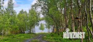 Фото квартиры в аренду (2)