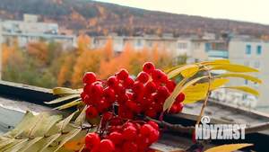 1-к квартира, посуточно, 31м2, 1/1 этаж