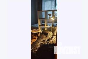 1-к квартира, посуточно, 31м2, 6/7 этаж