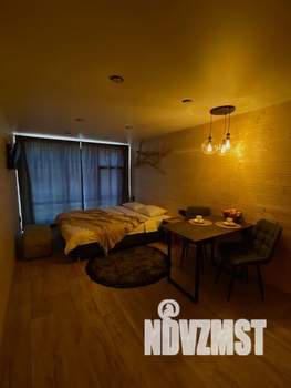 1-к квартира, посуточно, 21м2, 1/1 этаж