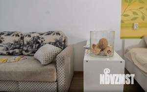 1-к квартира, посуточно, 41м2, 1/1 этаж