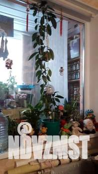 2-к квартира, вторичка, 45м2, 2/9 этаж