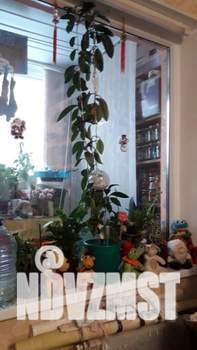 2-к квартира, вторичка, 45м2, 2/9 этаж